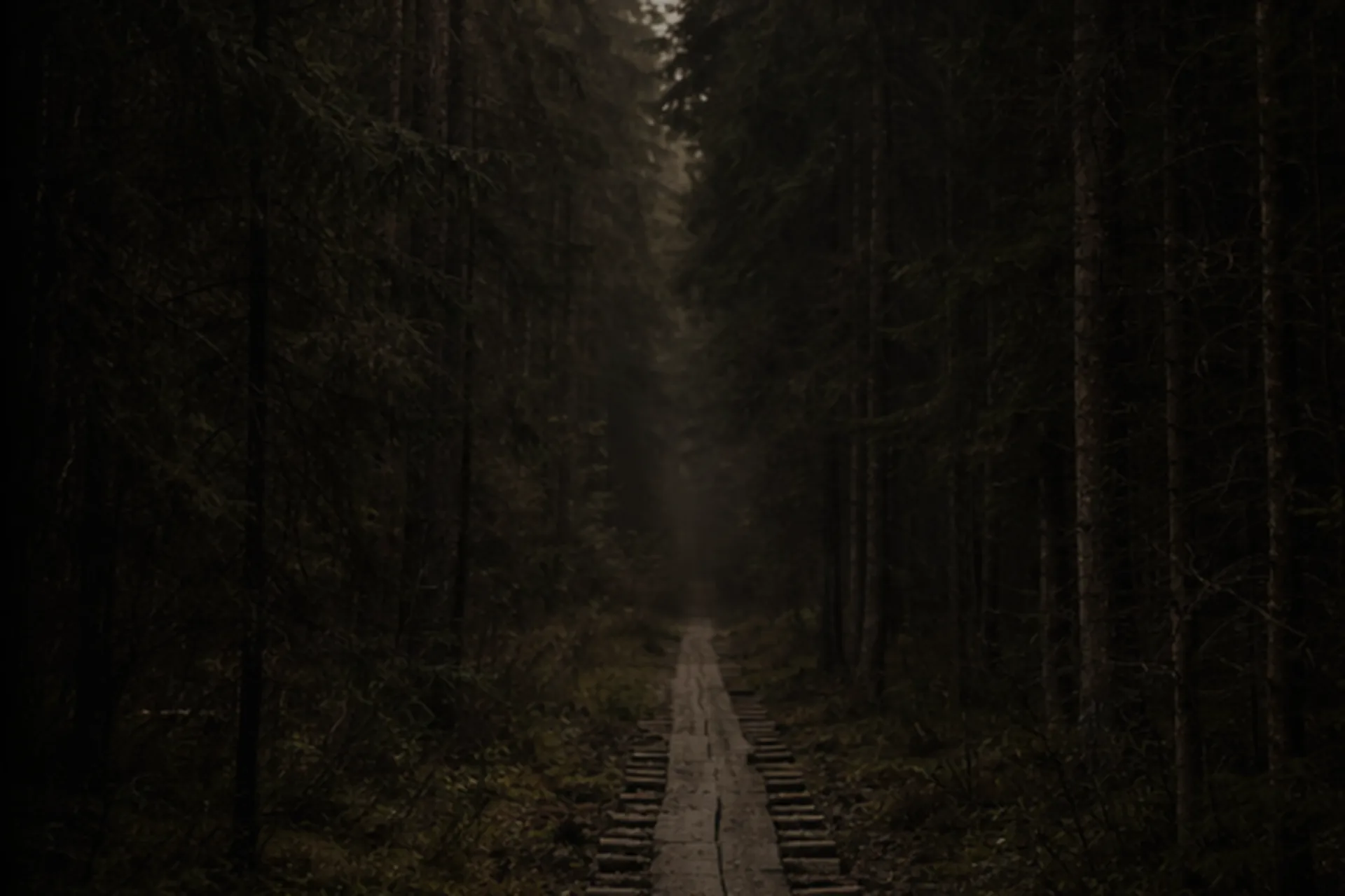 A traditional Finnish wooden walkway leading through a birch forest toward a lakeside sauna